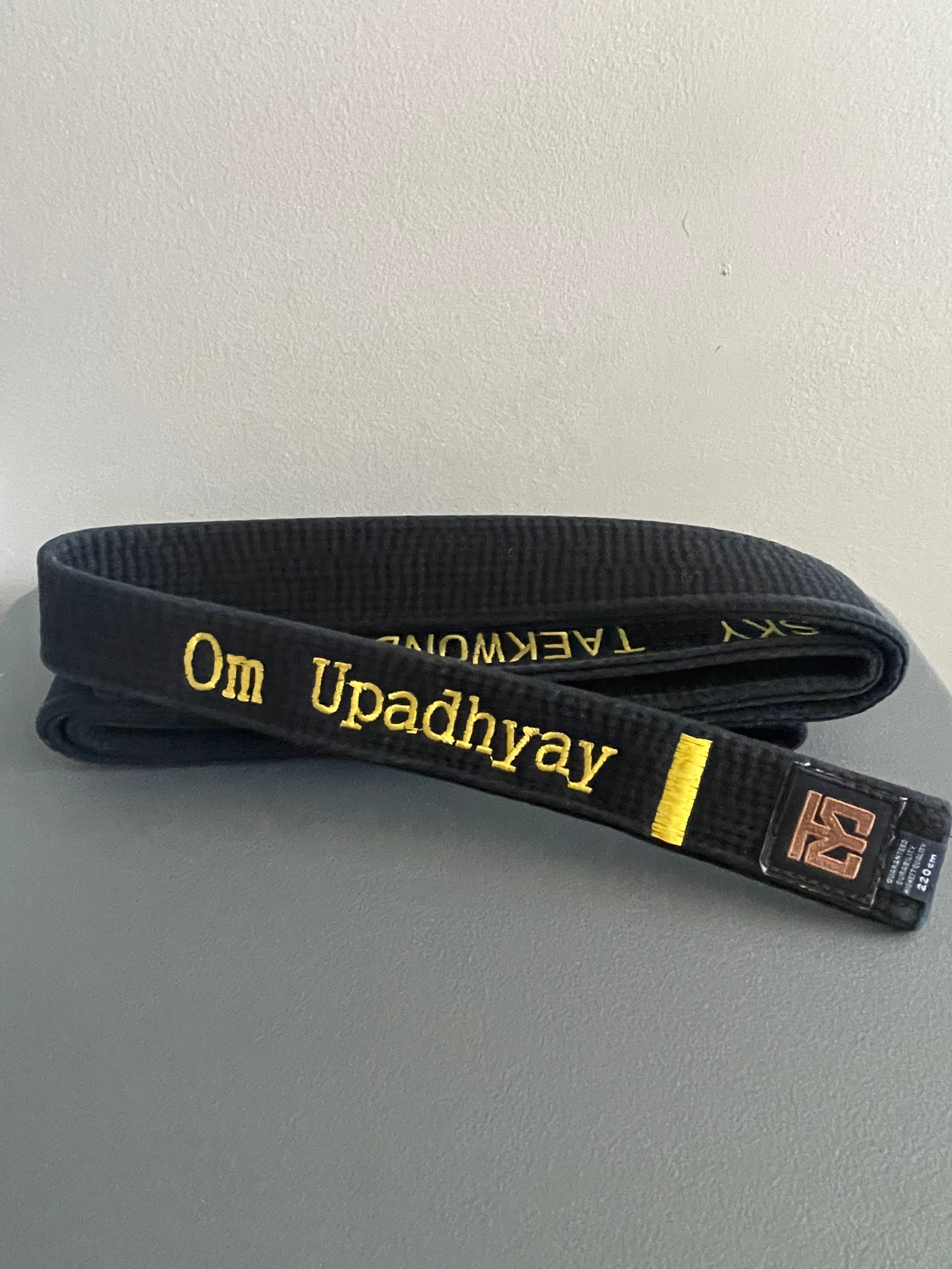 Taekwondo black belt photo